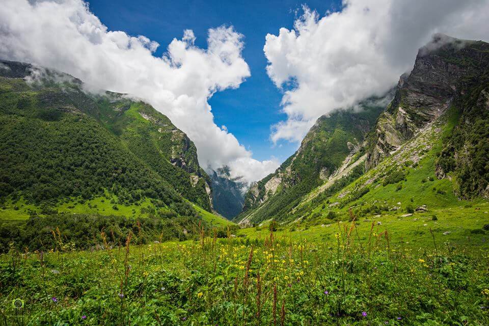 Valley of flower Trek