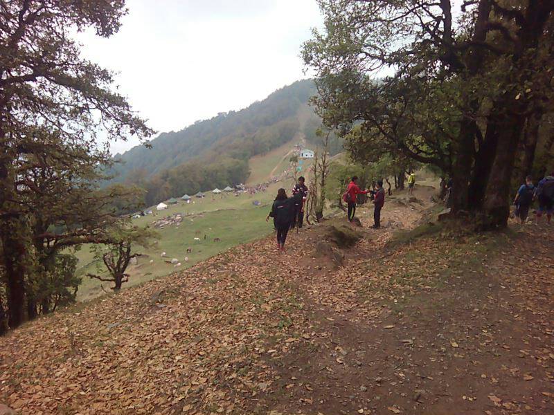 On the Way to Nag Tibba Summit May 2017