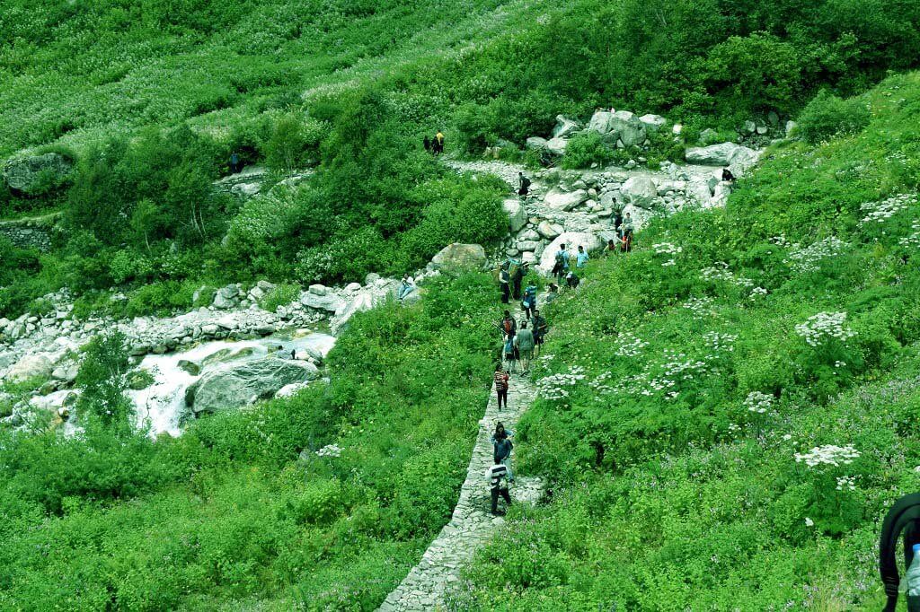 Utttarakhand Trip Trek: Valley of flowers Trek  en-route-of-valley-of-flower-2017-chamoli-uttarakhand