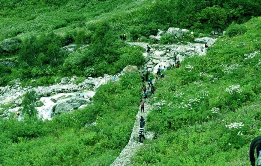 Valley of Flowers Trek