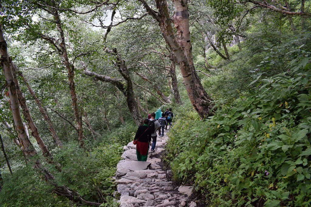 Utttarakhand Trip Trek: Valley of Flowers Hemkund Sahib Trek dence-forest-near-valley-of-flower