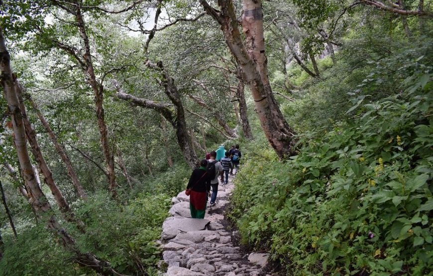 Valley of Flowers Hemkund Sahib Trek