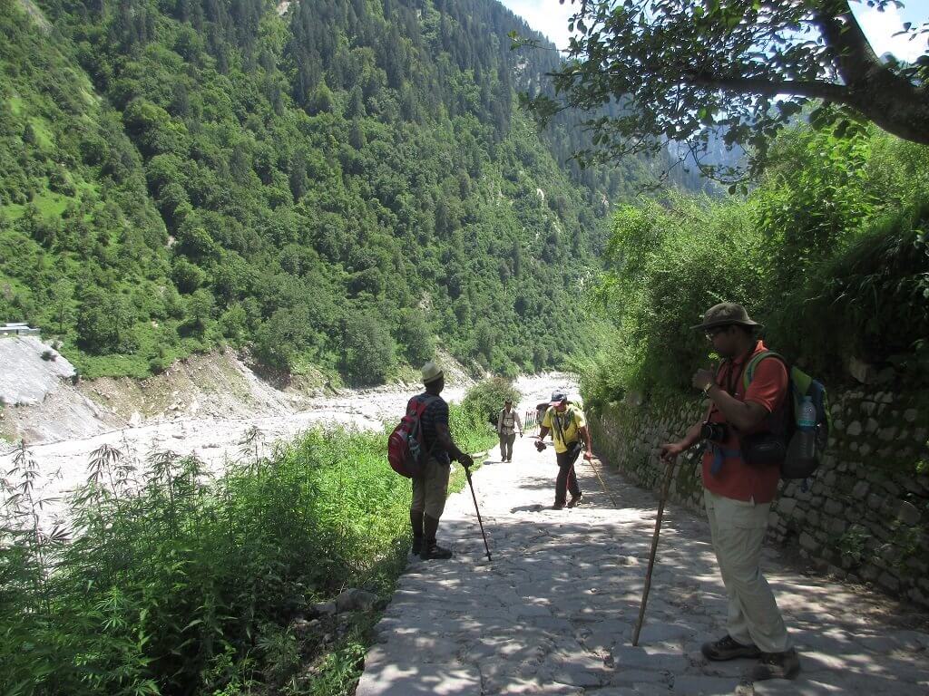 Valley of Flowers trek