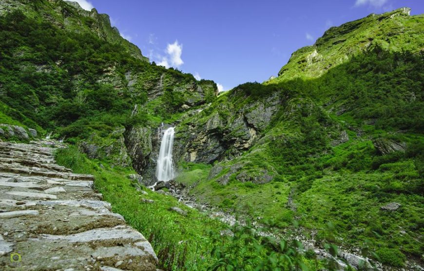 Valley of Flowers Trek