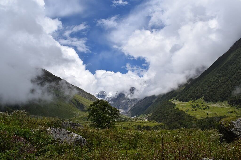 beautiful view of valley of flowers uttarakhand