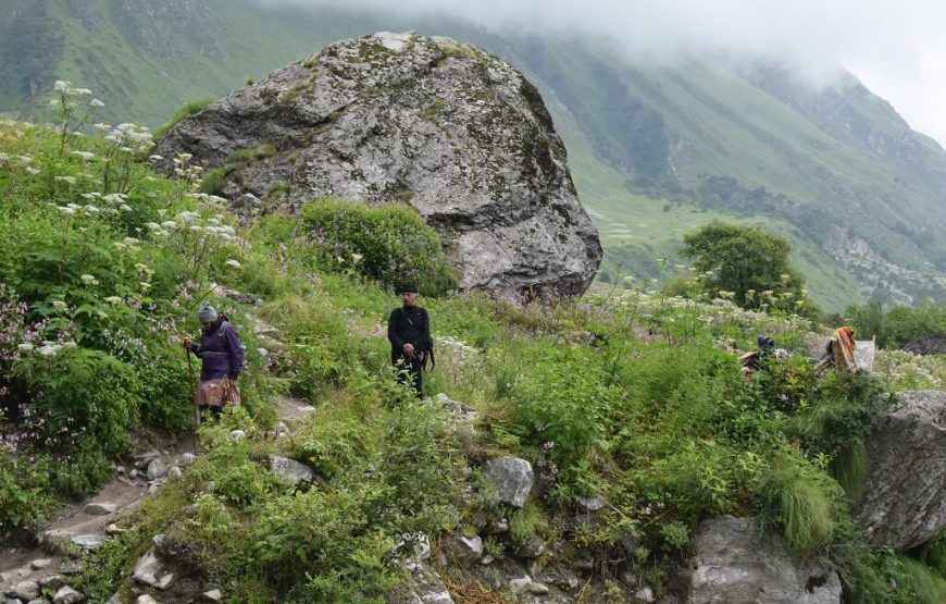 Valley of Flowers Hemkund Sahib Trek