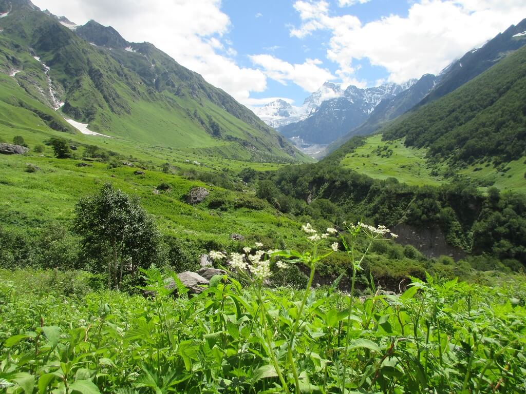 Leading Trips and Treks Provider of Uttarakhand