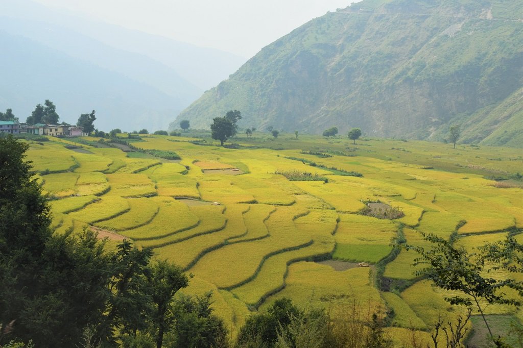 Nag Tibba Trek