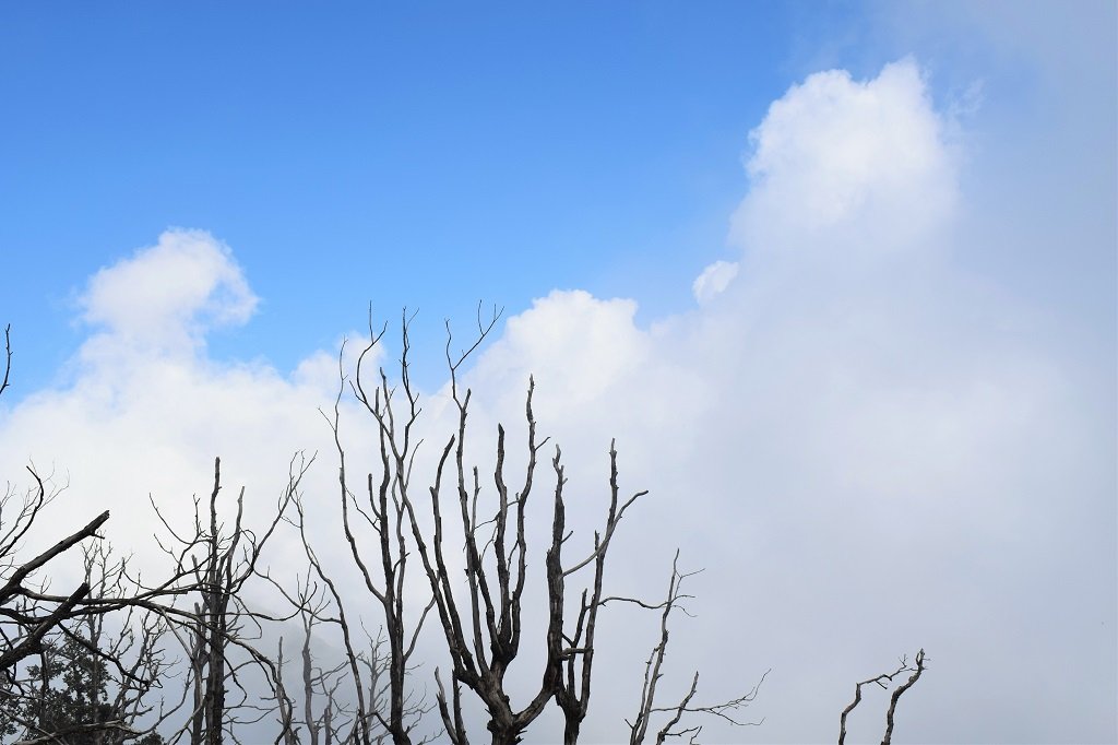 beautiful view of sky on nag tibba trek