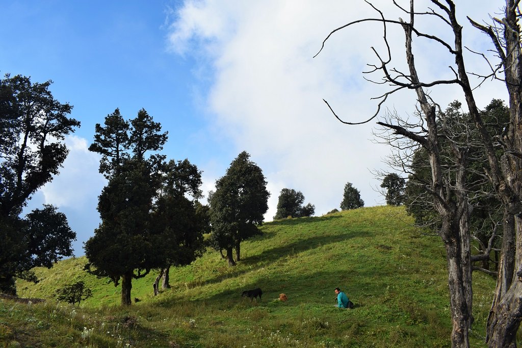 beautiful view on nag tibba trek