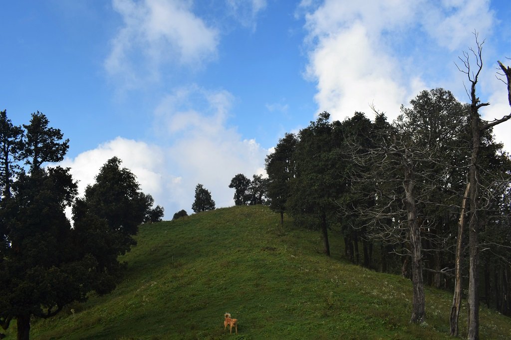 beautiful view on nag tibba trek