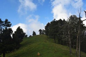 Utttarakhand Trip Trek:  beautiful view on nag tibba trek