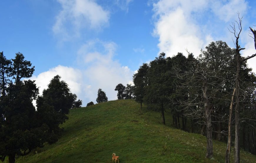 Nag Tibba Trek