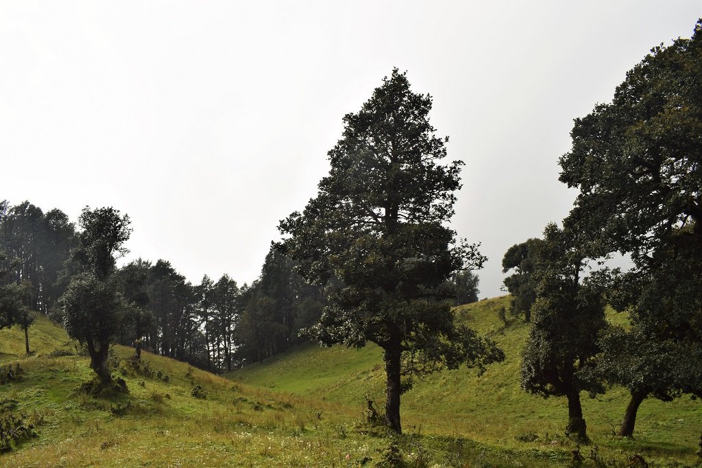 beautiful view on nag tibba trek