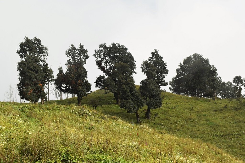 beautiful view on nag tibba trek