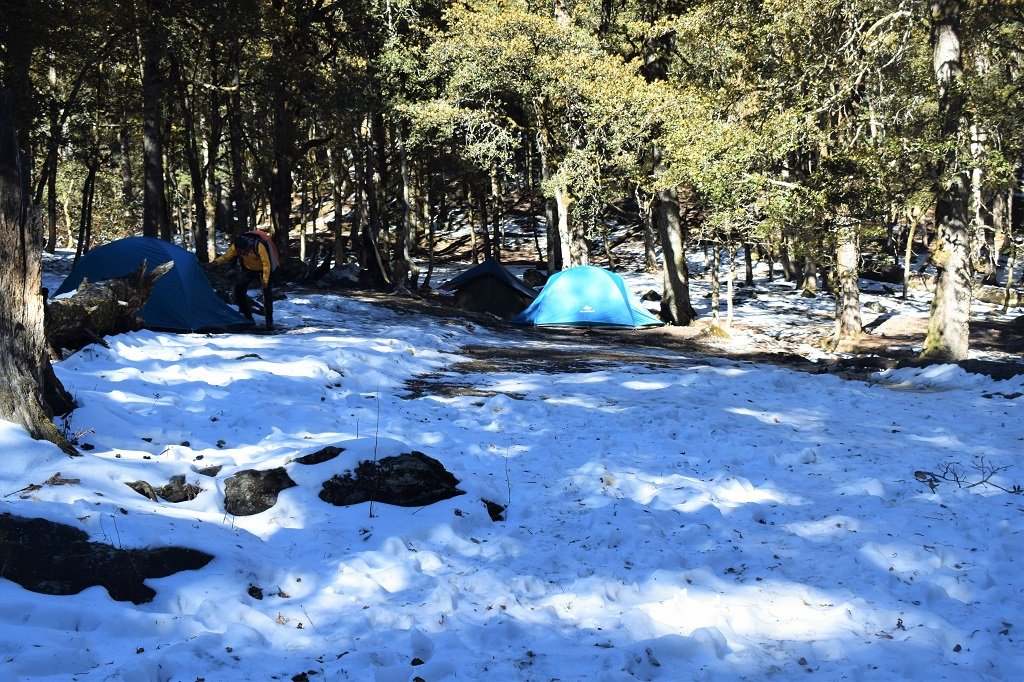 camp site on kuari pass trek