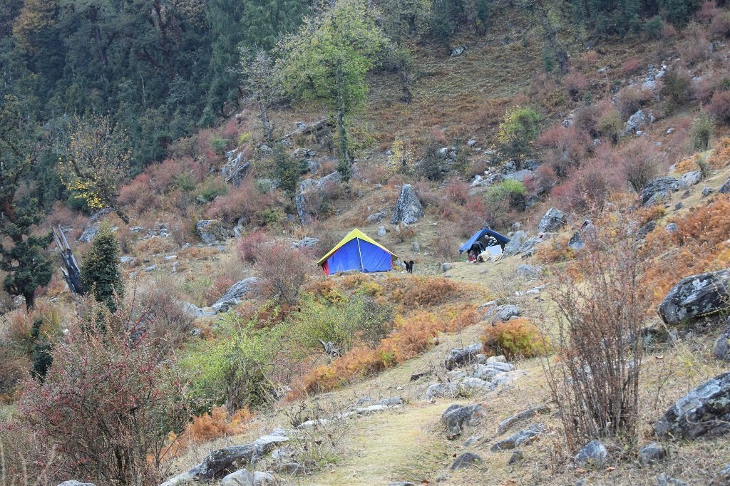 camp site on kuari pass trek