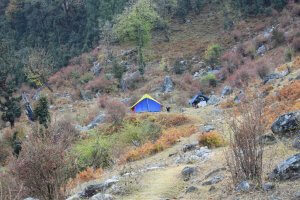 Utttarakhand Trip Trek:  camp site on kuari pass trek