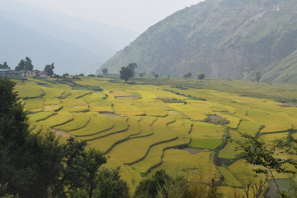 green field on nag tibba trek