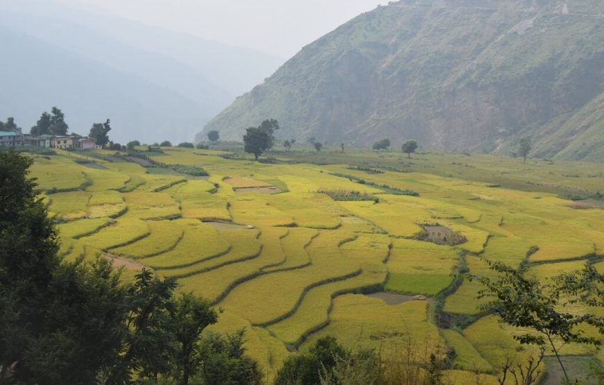 Nag Tibba Trek