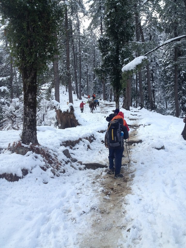 kedarkantha trek