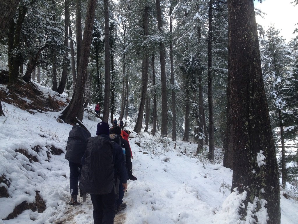 kedarkantha trek