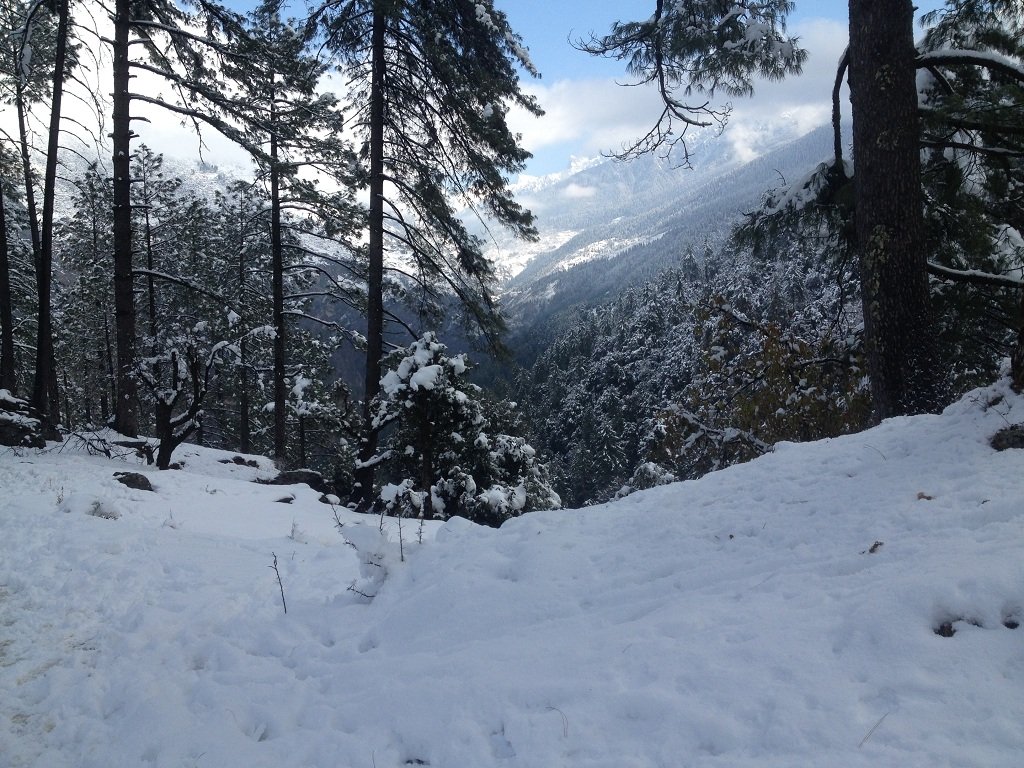 kedarkantha trek