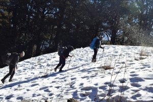 Utttarakhand Trip Trek:  kuari pass trek