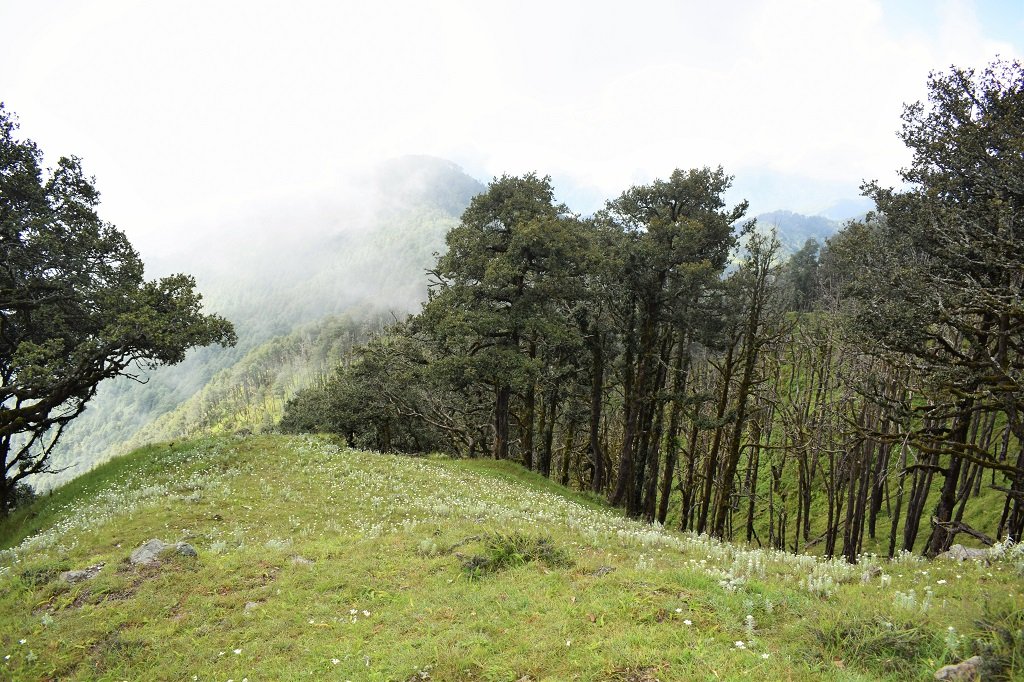 nag tibba trek