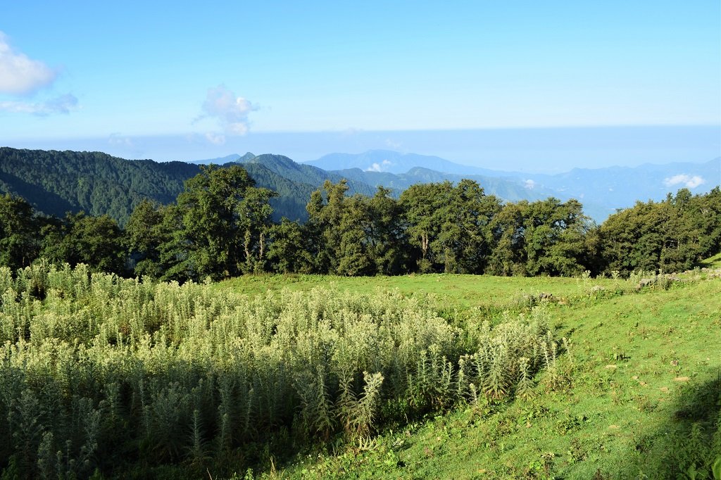 nag tibba trek