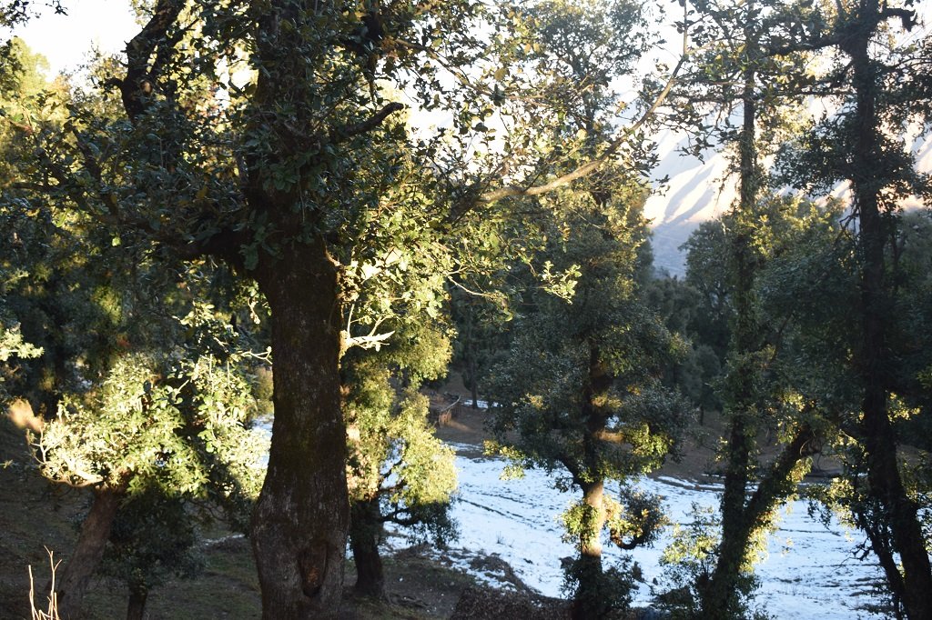 nag tibba trek