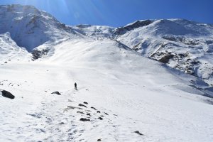 Utttarakhand Trip Trek:  snow coverd mountains on kuari pass trek