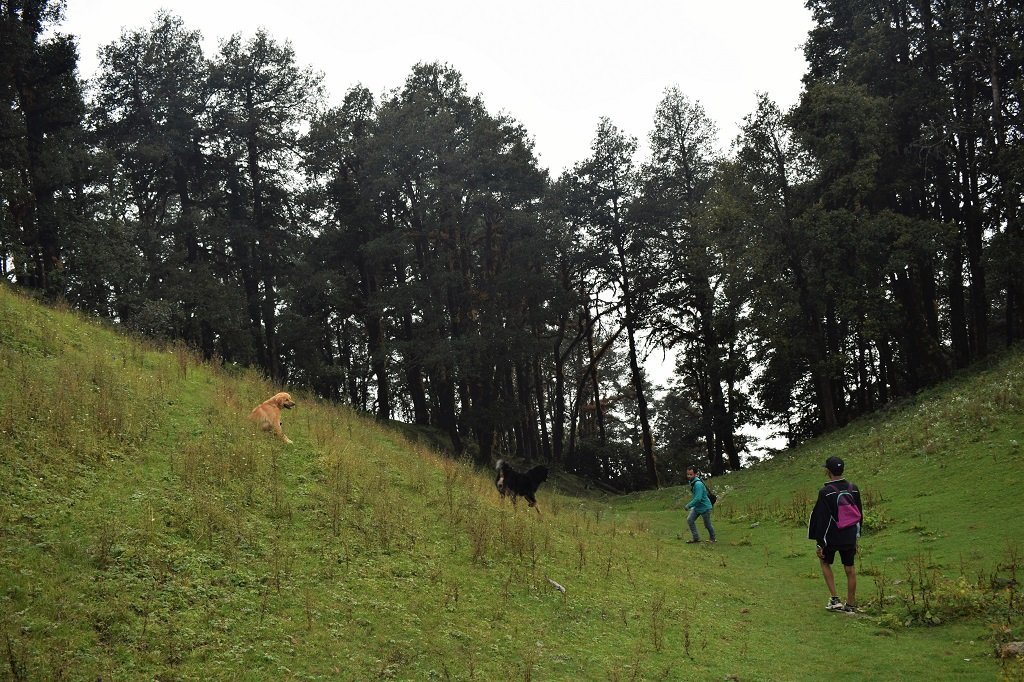 Nag tibba trek