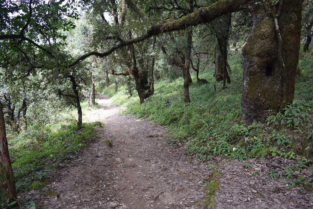 Route of nag tibba trek