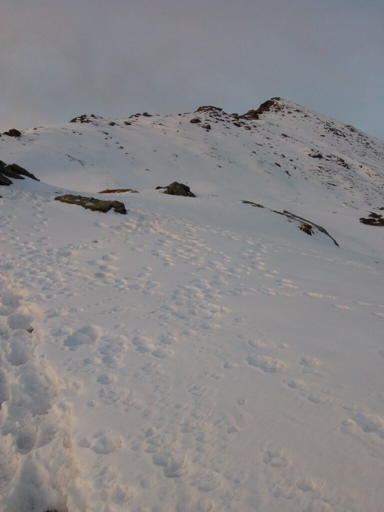 View of kedarkantha summit