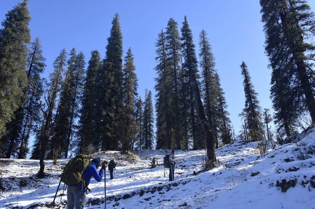 kedarkantha trek