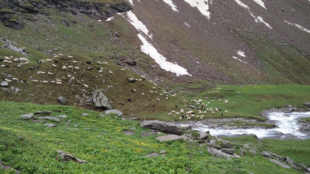 rupin pass trek