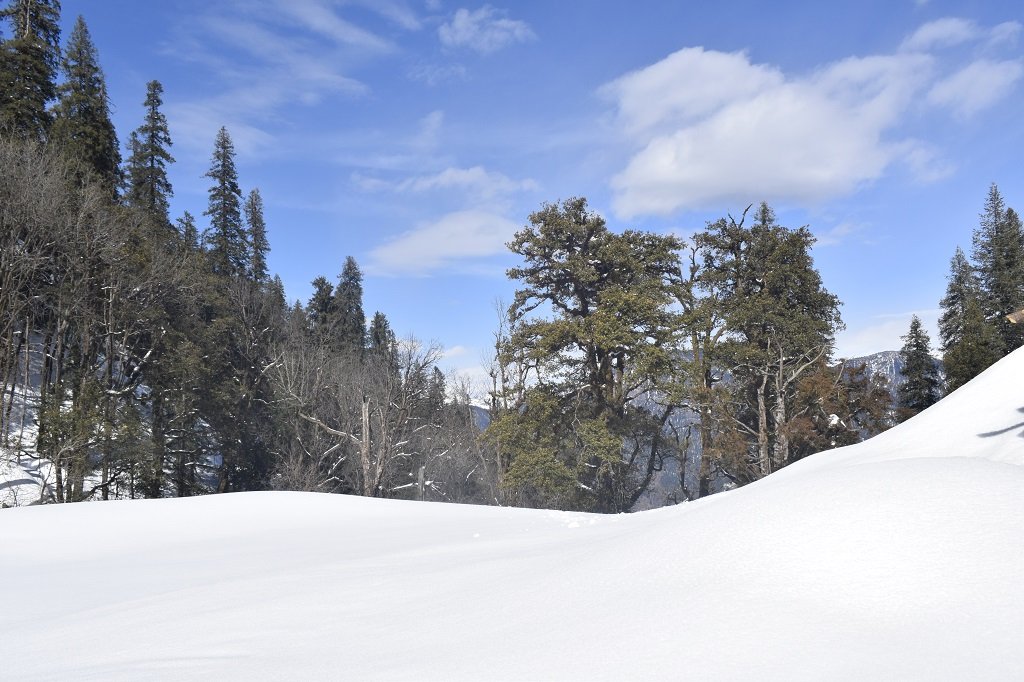 KEDARKANTHA TREK