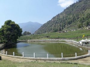 Utttarakhand Trip Trek:  Badanitaal, panwali kantha, Uttarakhand