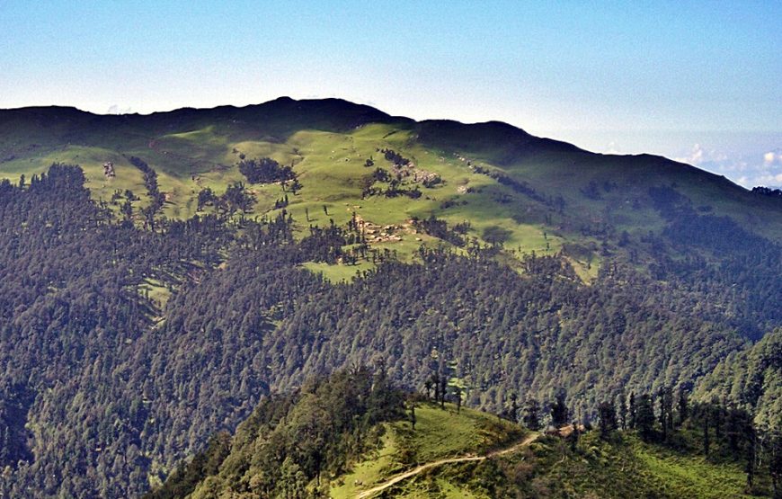 Panwali Kantha Trek- Great Alpine Meadows