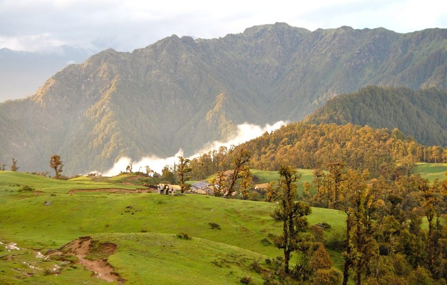 Bedni Bugyal Trek – Asia’s Largest Grassland