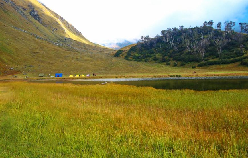 Bali Pass and Ruinsara Tal Trek