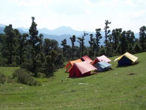 Utttarakhand Trip Trek:  camping at Panwali kantha