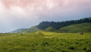 Utttarakhand Trip Trek:  Dayara Bugyal Uttarakhand