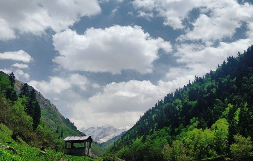 Bali Pass and Ruinsara Tal Trek