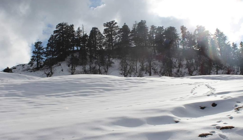 dayara bugyal trek