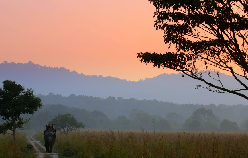 Jim Corbett Tour – A weekend trip to wildlife adventure