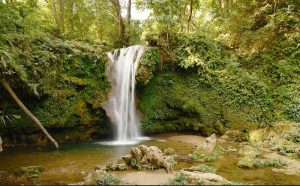 Utttarakhand Trip Trek:  Corbett fall, ramnagar