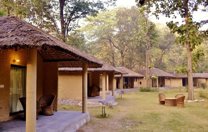 Corbett Jungle Lore Camp