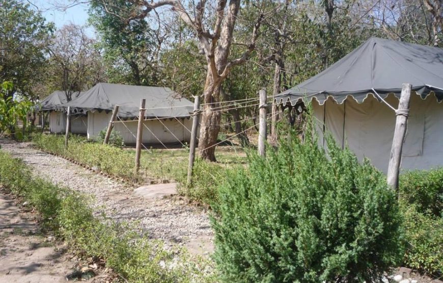 Corbett Jungle Lore Camp